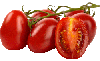 24 italian tomatoes, cut in half lengthwise